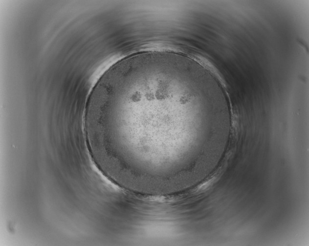 X0000103240855200808281439