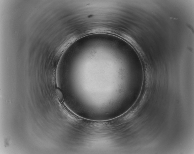 X0000103240857200808281439