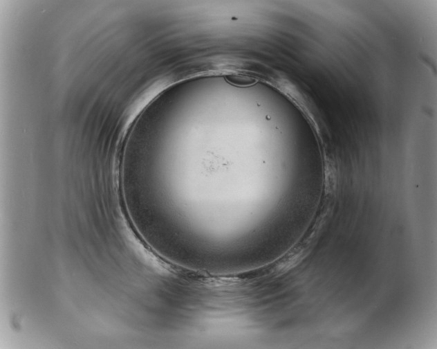 X0000103240859200808281439