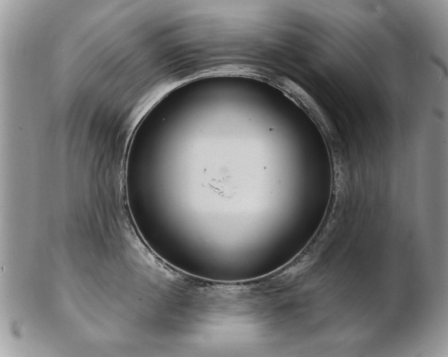 X0000103240860200808281439