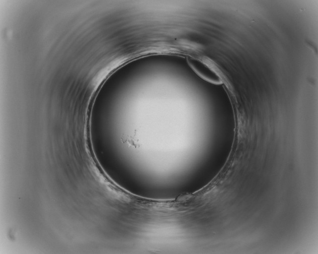 X0000103240861200808281439