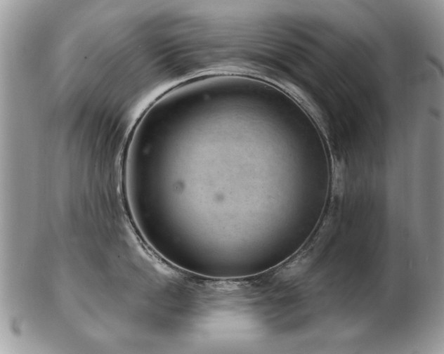 X0000103240862200808281440