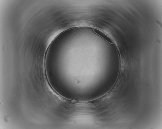 X0000103240863200808281440