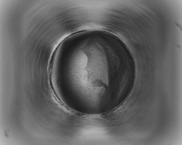 X0000103240864200808281440