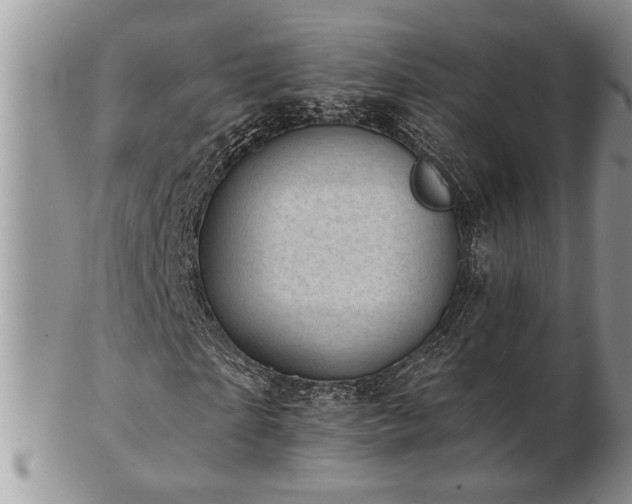 X0000103240865200808281439