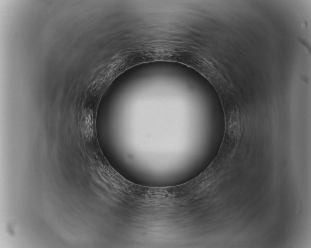 X0000103240866200808281439