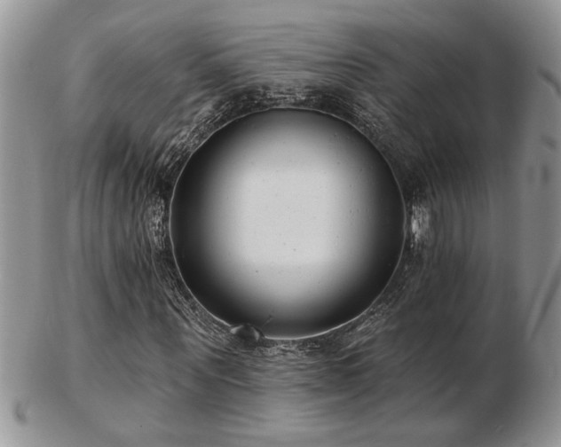 X0000103240867200808281439