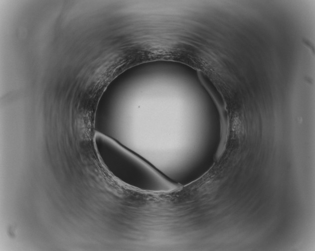 X0000103240868200808281439