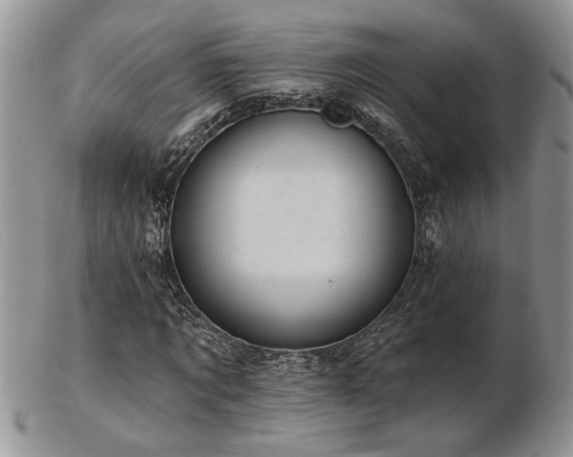 X0000103240869200808281439