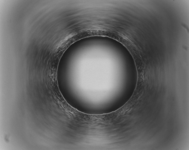 X0000103240870200808281439