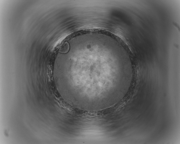 X0000103240871200808281439