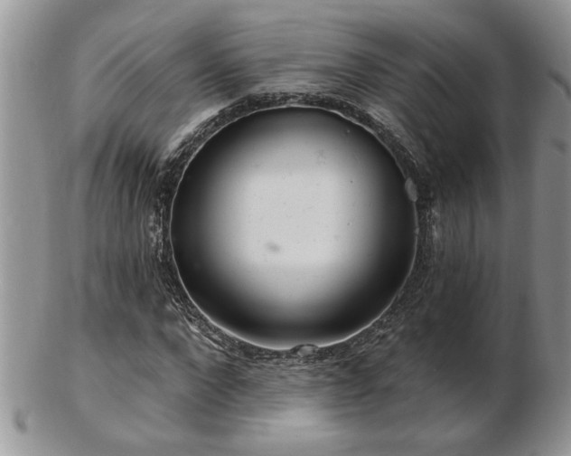 X0000103240872200808281439