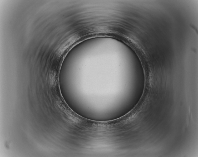X0000103240873200808281439