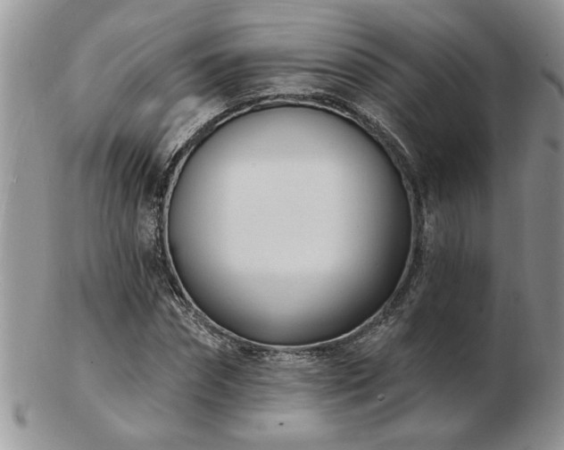 X0000103240874200808281439