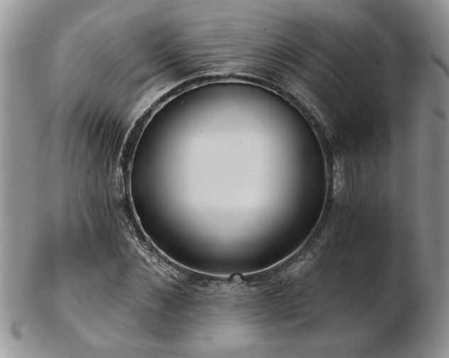X0000103240876200808281439