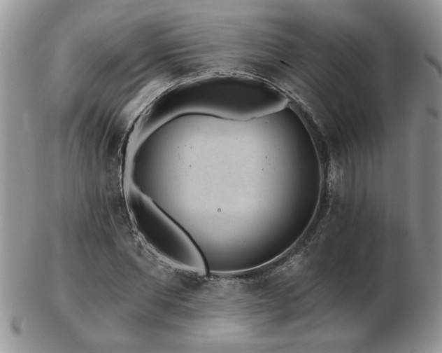 X0000103240877200808281439