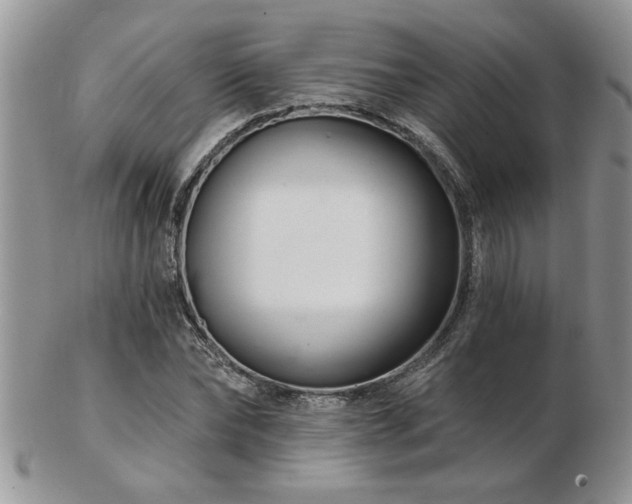 X0000103240878200808281439