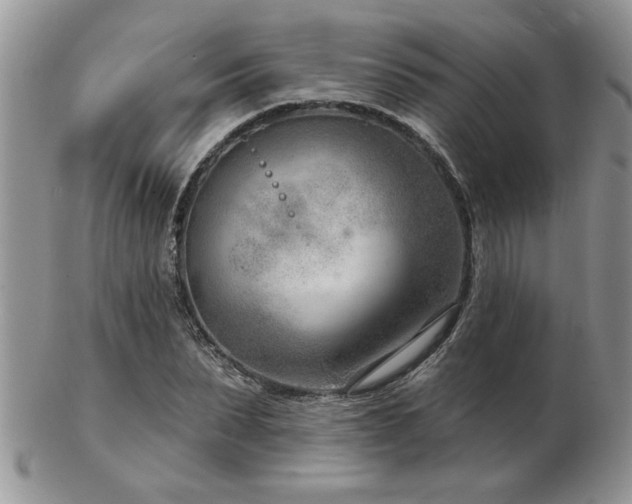 X0000103240879200808281439