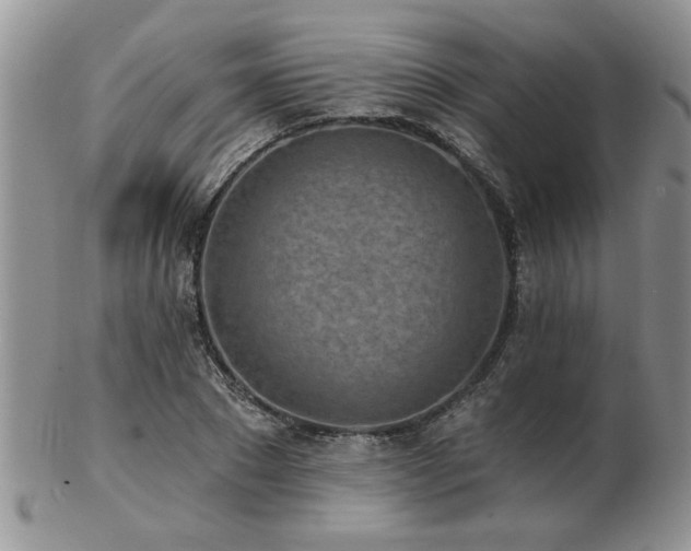 X0000103240881200808281439