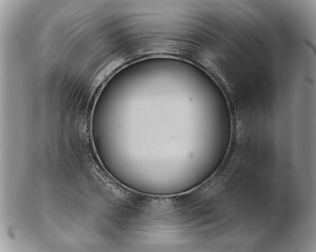 X0000103240882200808281439
