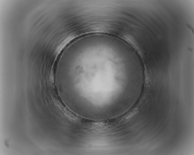 X0000103240883200808281439