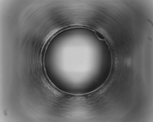 X0000103240884200808281439