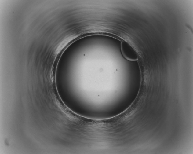 X0000103240885200808281439