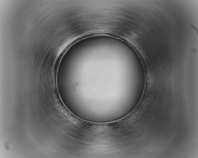 X0000103240886200808281439