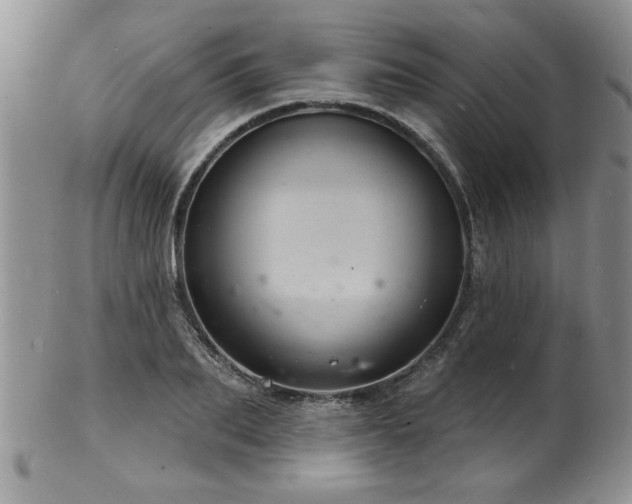 X0000103240887200808281439
