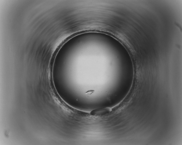 X0000103240888200808281439