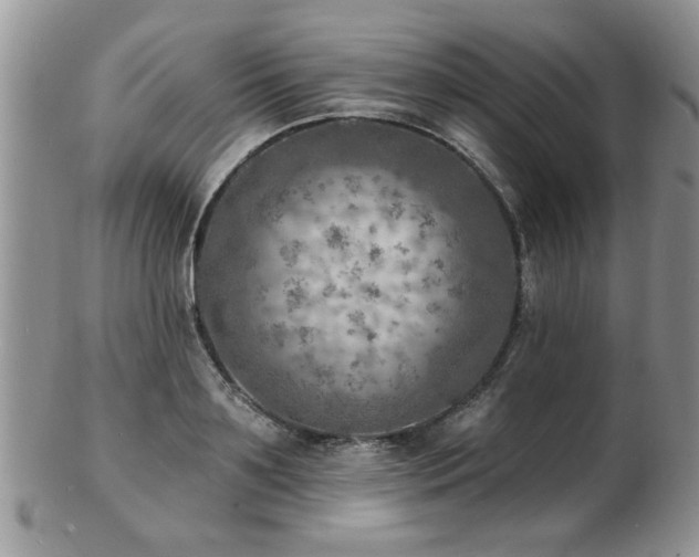 X0000103240891200808281438
