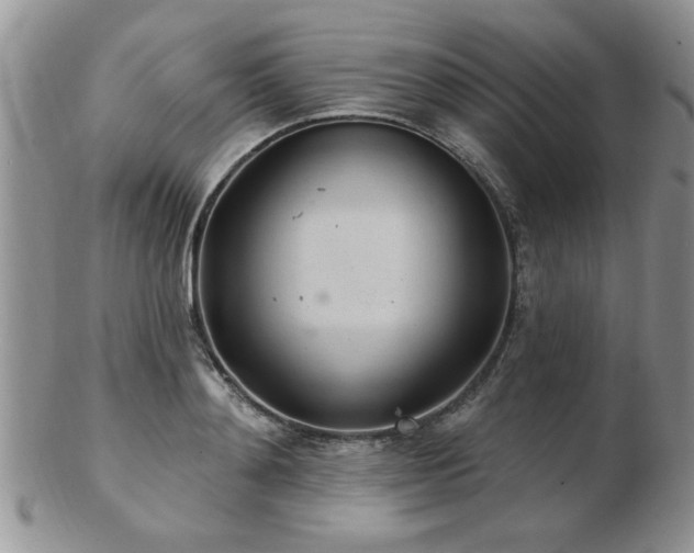 X0000103240892200808281438