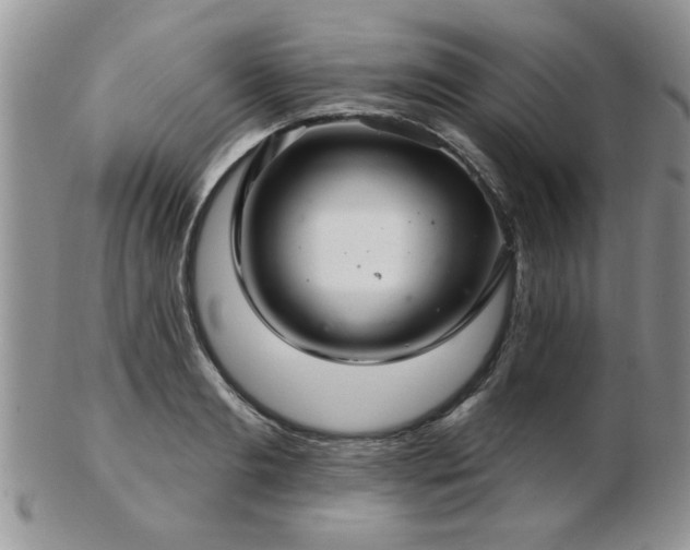 X0000103240893200808281438