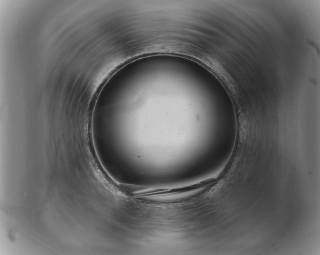 X0000103240896200808281438