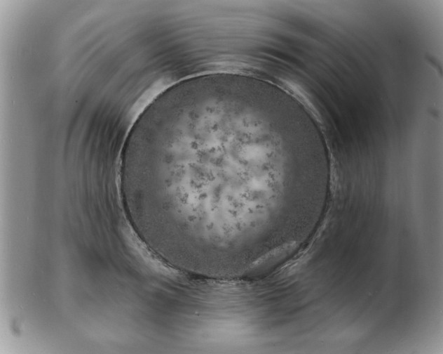 X0000103240899200808281438
