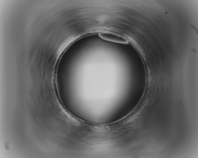 X0000103240901200808281438