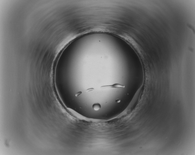 X0000103240902200808281438