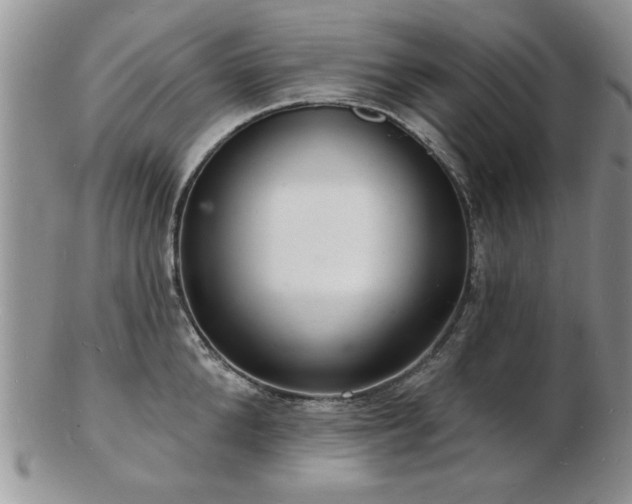 X0000103240904200808281438