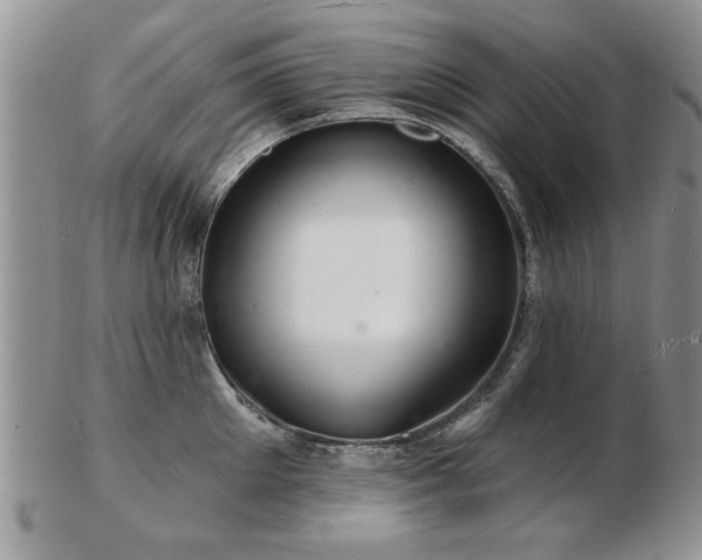 X0000103240905200808281438