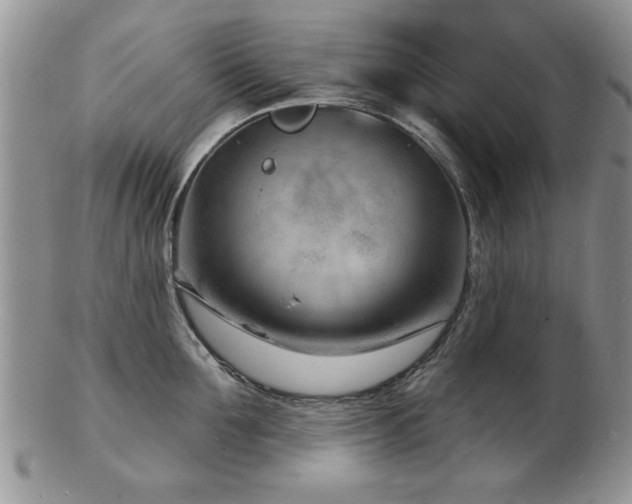 X0000103240907200808281438