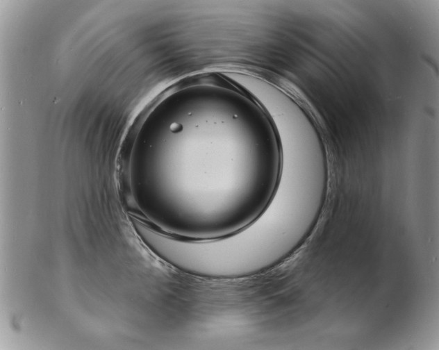 X0000103240908200808281438