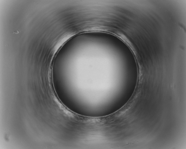X0000103240909200808281438