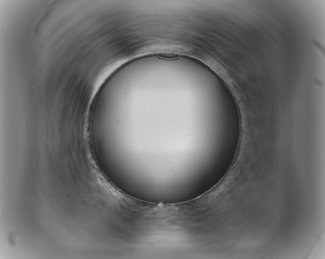X0000103240912200808281438