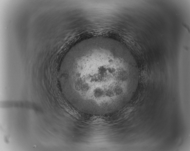 X0000103240913200808281437