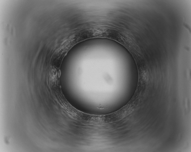 X0000103240914200808281437
