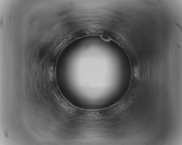 X0000103240915200808281437