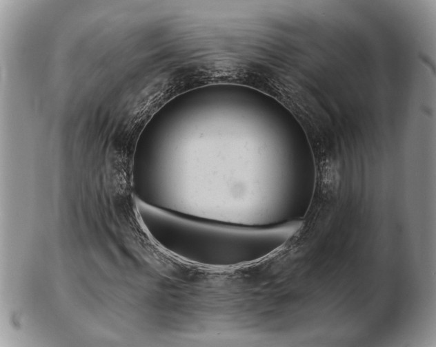 X0000103240916200808281437
