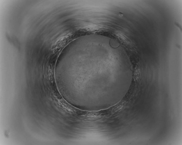 X0000103240917200808281437