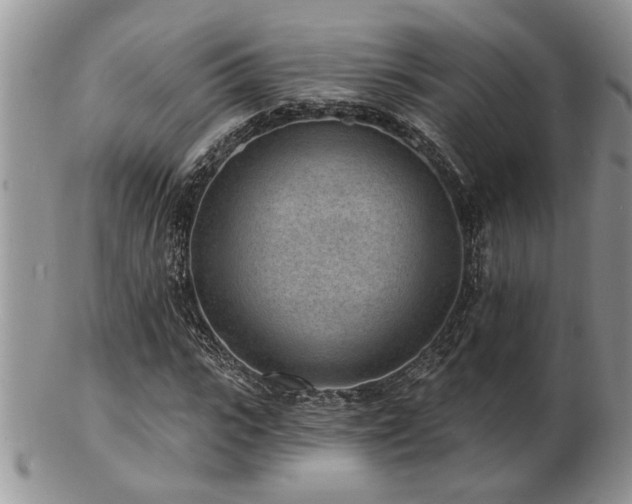 X0000103240919200808281437