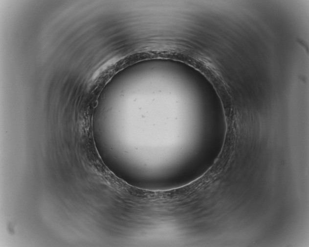 X0000103240920200808281437